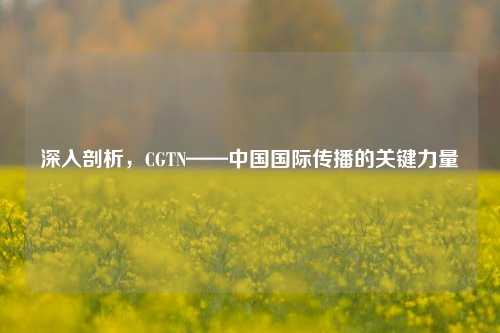 深入剖析，CGTN——中国国际传播的关键力量