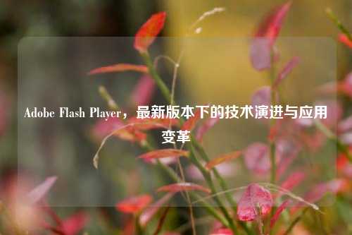Adobe Flash Player，最新版本下的技术演进与应用变革