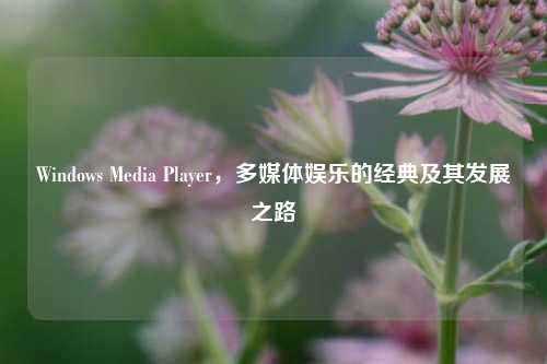 Windows Media Player,多媒体娱乐的经典及其发展之路
