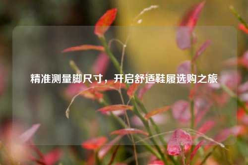 精准测量脚尺寸,开启舒适鞋履选购之旅