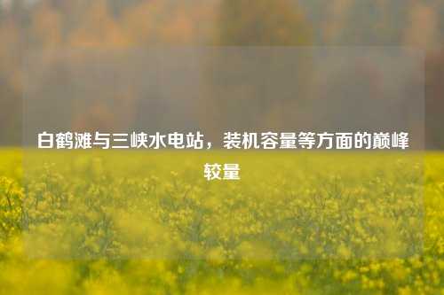 白鹤滩与三峡水电站，装机容量等方面的巅峰较量