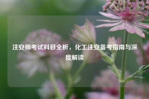 注安师考试科目全析,化工注安备考指南与深度解读