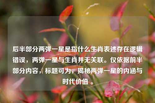 后半部分两弹一星是指什么生肖表述存在逻辑错误,两弹一星与生肖并无关联。仅依据前半部分内容,标题可为,揭秘两弹一星的内涵与时代价值 。