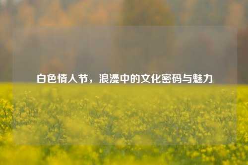 白色情人节,浪漫中的文化密码与魅力