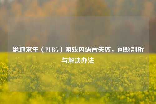 绝地求生(PUBG)游戏内语音失效,问题剖析与解决办法