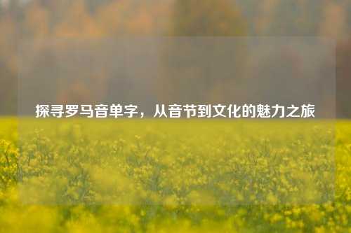 探寻罗马音单字,从音节到文化的魅力之旅