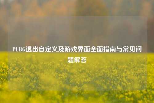 PUBG退出自定义及游戏界面全面指南与常见问题解答