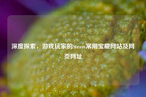 深度探索,游戏玩家的Steam常用宝藏网站及网页网址