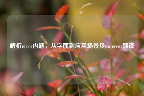 解析error内涵,从字面到应用场景及no error翻译
