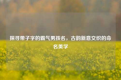 探寻带子字的霸气男孩名,古韵新意交织的命名美学