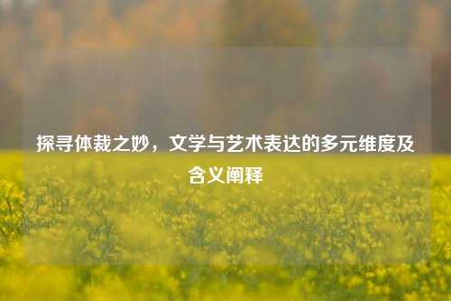 探寻体裁之妙,文学与艺术表达的多元维度及含义阐释