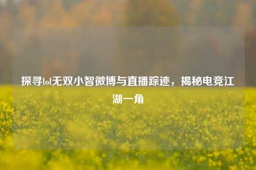 探寻lol无双小智微博与直播踪迹，揭秘电竞江湖一角