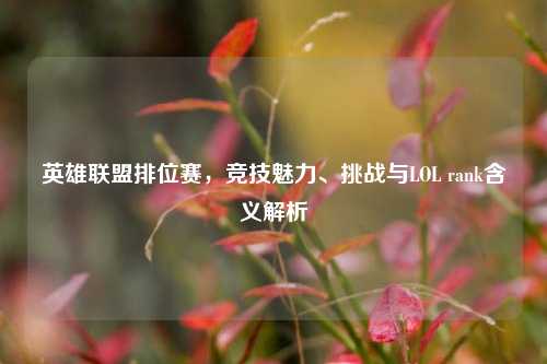 英雄联盟排位赛，竞技魅力、挑战与LOL rank含义解析