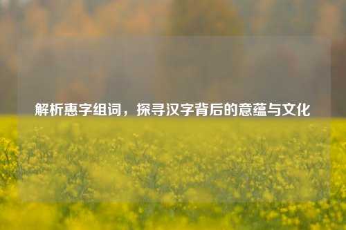 解析惠字组词，探寻汉字背后的意蕴与文化