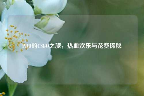 PDD的CSGO之旅，热血欢乐与花费探秘