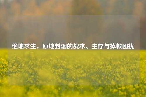 绝地求生,原地封烟的战术、生存与掉帧困扰