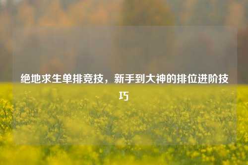 绝地求生单排竞技,新手到大神的排位进阶技巧