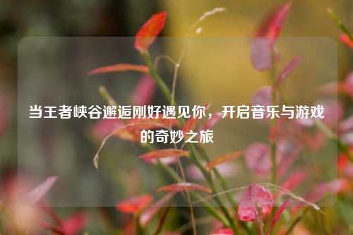 当王者峡谷邂逅刚好遇见你,开启音乐与游戏的奇妙之旅