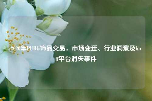 2020年PUBG饰品交易,市场变迁、行业洞察及buff平台消失事件