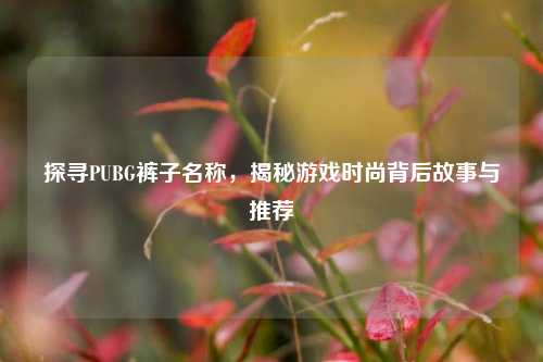 探寻PUBG裤子名称,揭秘游戏时尚背后故事与推荐