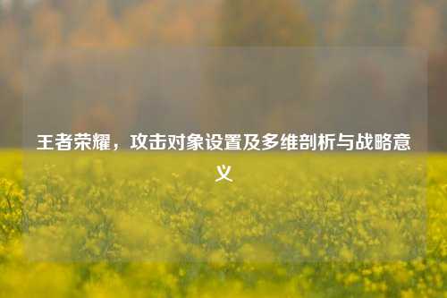 王者荣耀,攻击对象设置及多维剖析与战略意义