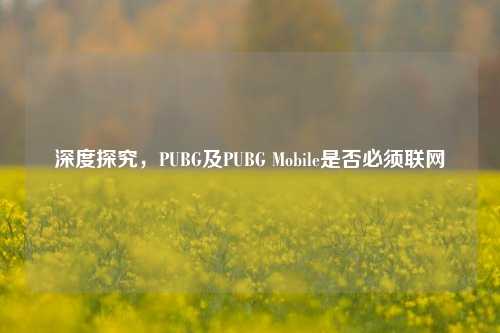 深度探究,PUBG及PUBG Mobile是否必须联网