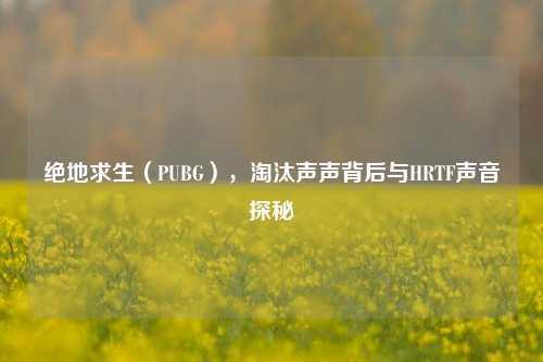 绝地求生(PUBG),淘汰声声背后与HRTF声音探秘