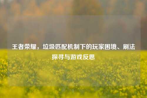 王者荣耀,垃圾匹配机制下的玩家困境、刷法探寻与游戏反思