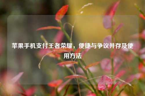 苹果手机支付王者荣耀,便捷与争议并存及使用