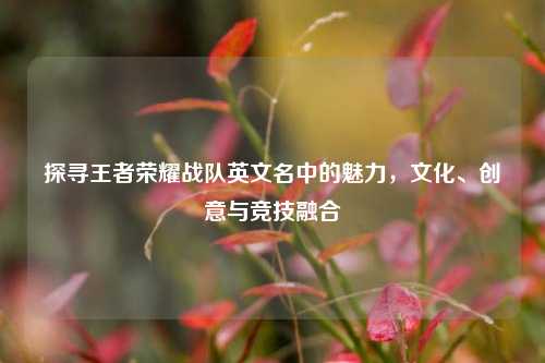 探寻王者荣耀战队英文名中的魅力,文化、创意与竞技融合