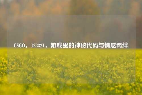 CSGO,123321,游戏里的神秘代码与情感羁绊