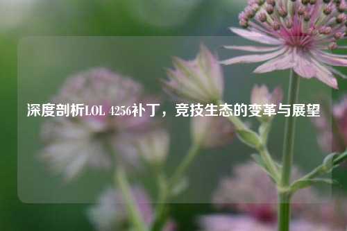 深度剖析LOL 4256补丁,竞技生态的变革与展望
