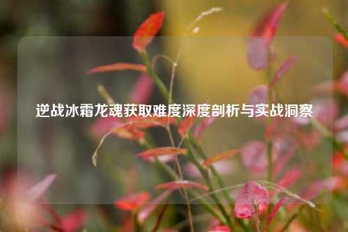 逆战冰霜龙魂获取难度深度剖析与实战洞察