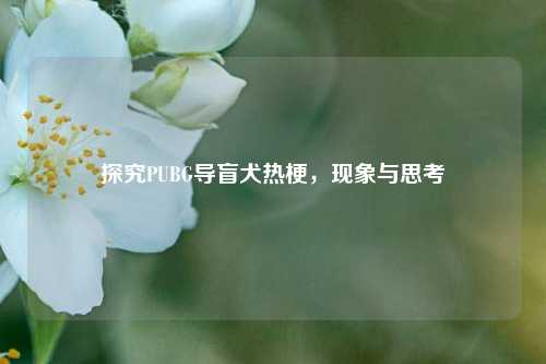探究PUBG导盲犬热梗,现象与思考