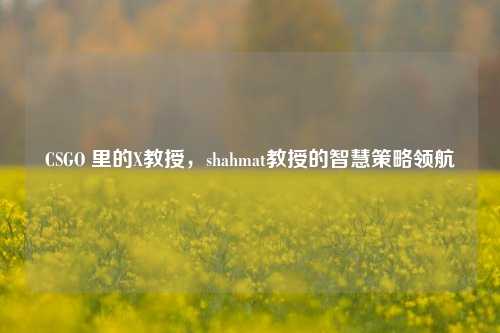 CSGO 里的X教授,shahmat教授的智慧策略领航