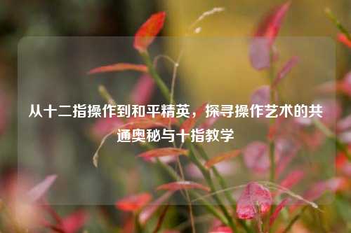 从十二指操作到和平精英,探寻操作艺术的共通奥秘与十指教学