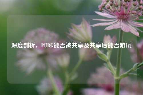 深度剖析，PUBG能否被共享及共享后能否游玩