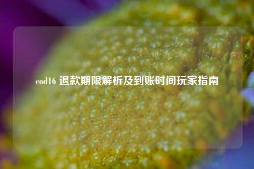 cod16 退款期限解析及到账时间玩家指南