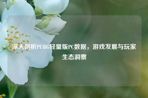 深入剖析PUBG轻量版PC数据,游戏发展与玩家生态洞察