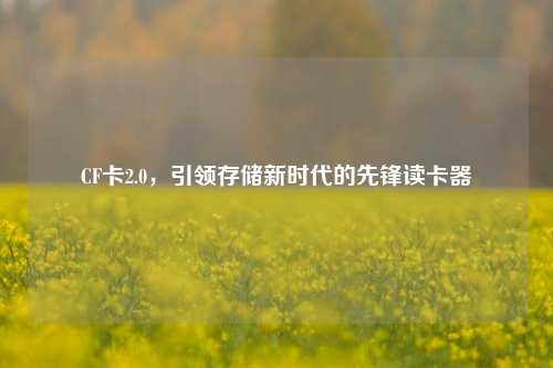 CF卡2.0,引领存储新时代的先锋读卡器