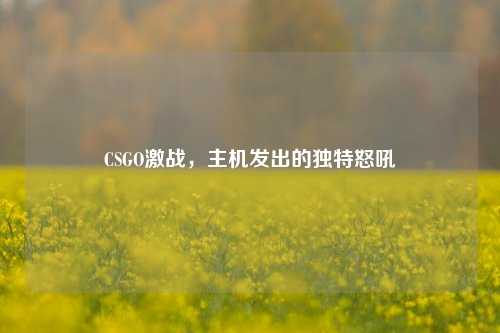 CSGO激战,主机发出的独特怒吼