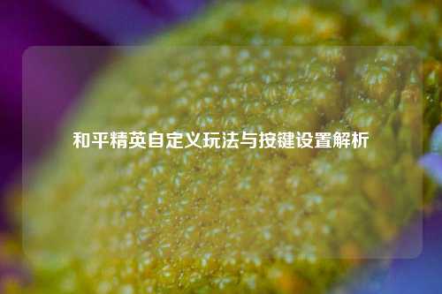 和平精英自定义玩法与按键设置解析