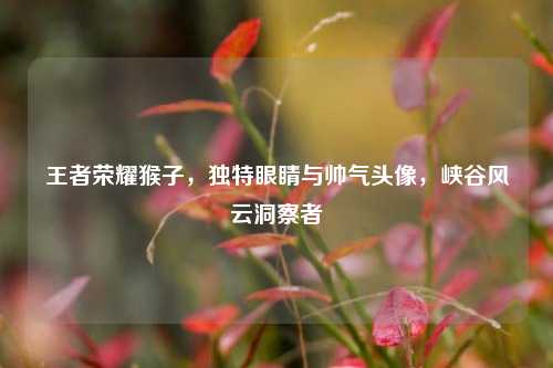 王者荣耀猴子,独特眼睛与帅气头像,峡谷风云洞察者