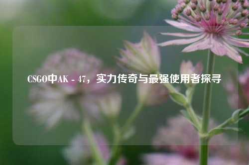 CSGO中AK - 47,实力传奇与最强使用者探寻