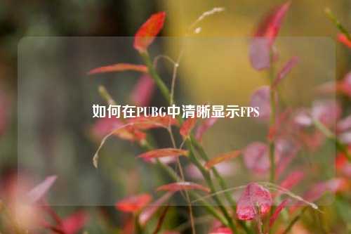 如何在PUBG中清晰显示FPS