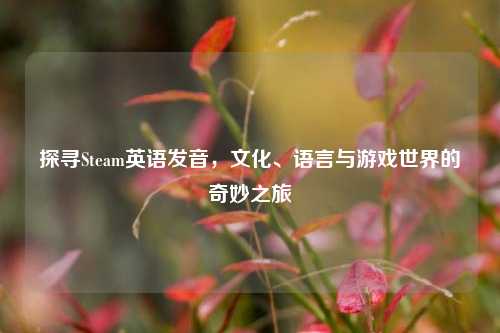 探寻Steam英语发音，文化、语言与游戏世界的奇妙之旅