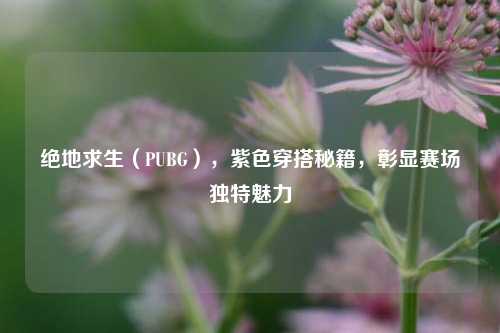 绝地求生(PUBG),紫色穿搭秘籍,彰显赛场独特魅力