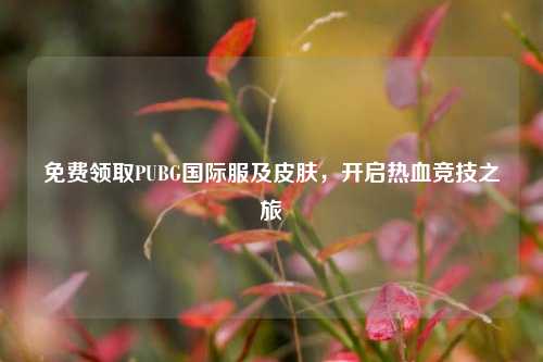 免费领取PUBG国际服及皮肤,开启热血竞技之旅