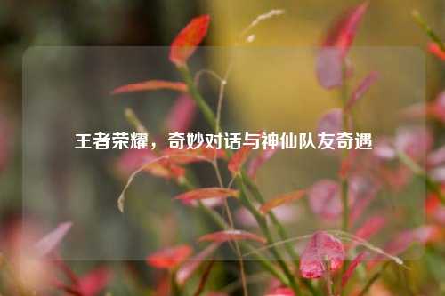 王者荣耀,奇妙对话与神仙队友奇遇