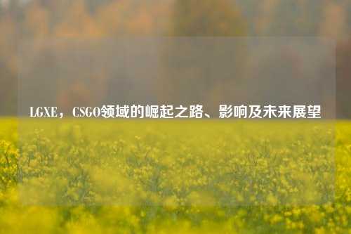 LGXE,CSGO领域的崛起之路、影响及未来展望